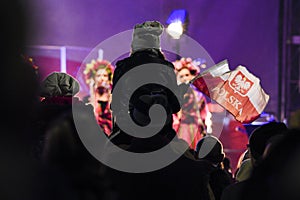 Independence Day in Poland, a child holding the flag of Poland