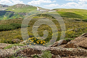 Independence pass near Denver in the Rocky Mountains