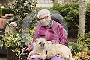 Independent Elderly Woman Outside in Wheelchair with Dog photo