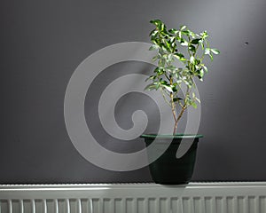 Independent home heating concept photo