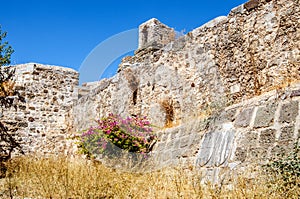 The indestructible stone walls of the castle of St. Peter in Bodrum. The ground under the walls was overgrown with grass, dried up