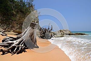 India, Andaman and Nicobar Island, Neil