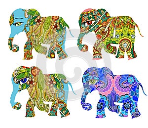 India. Beautiful elephants with flowers on white background.