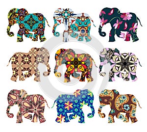 India. Beautiful elephants on white background. Vector set.