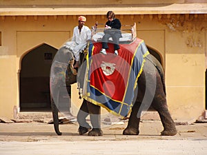 India, elephant riding