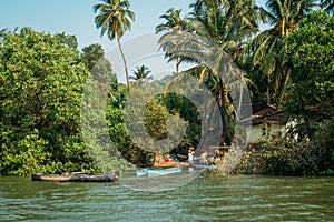 India Goa beach nature sea