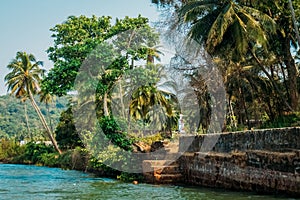 India Goa beach nature sea