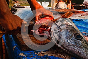 India Goa Fish