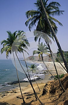 INDIA GOA LANDSCAPE BEACH