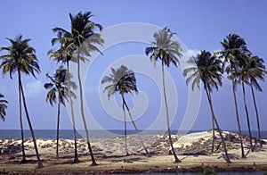 INDIA GOA LANDSCAPE BEACH