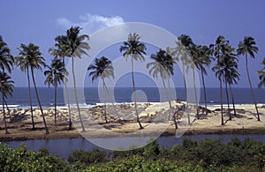 INDIA GOA LANDSCAPE BEACH