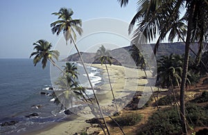 INDIA GOA LANDSCAPE BEACH