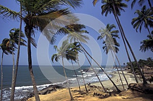 INDIA GOA LANDSCAPE BEACH