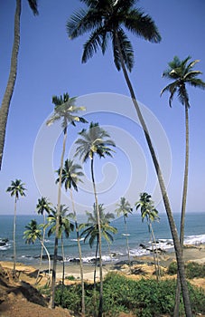 INDIA GOA LANDSCAPE BEACH