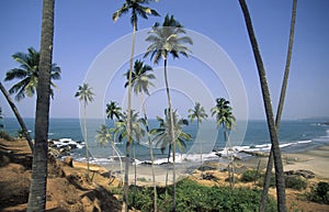 INDIA GOA LANDSCAPE BEACH