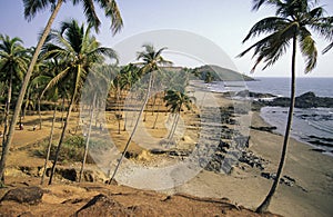 INDIA GOA LANDSCAPE BEACH