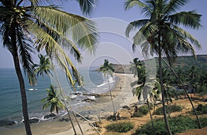 INDIA GOA LANDSCAPE BEACH