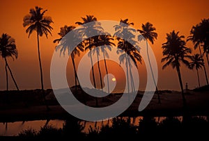 INDIA GOA LANDSCAPE BEACH