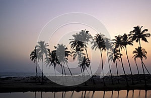 INDIA GOA LANDSCAPE BEACH