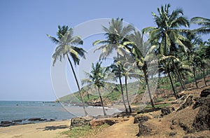 INDIA GOA LANDSCAPE BEACH