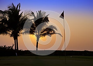 India. Goa. A sunset over palm trees and tags on the golf course