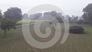 India Haryana former house field in rain season and green grass infield in high voltage Tower