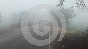 India haryana fog green grass photo 10mm wide