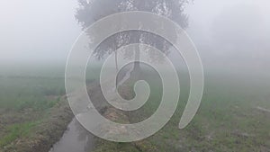 India haryana fog green grass photo 10mm wide