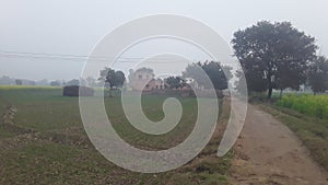 India Haryana former house field in rain season and green grass infield in high voltage Tower