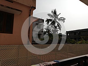 India kerala house coconut tree photo