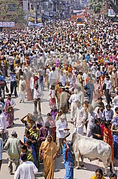 India Kumbh Mela