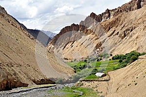 India - Ladakh (little Tibet) landscape