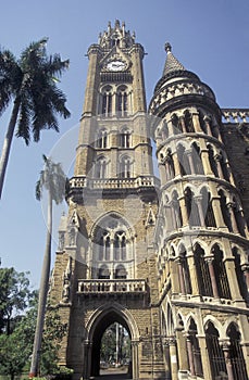 INDIA MUMBAI COLABA RAJABAI CLOCK TOWER photo