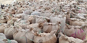 India rice bags packets in field receptacle