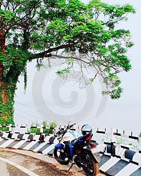 Riverside Brahmaputra