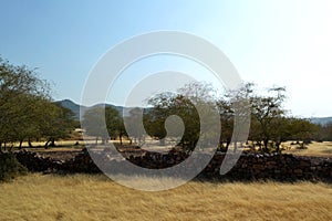 India  rohtambor nature reserve  landscape  nature  panoram