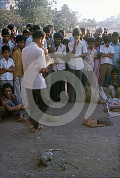 1977. India. Snake charmer in Bombay.
