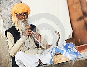 India Snake charmer photo