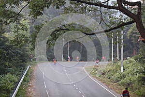 India temple bangle with red cloth
