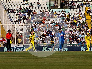 India versus Australia cricket