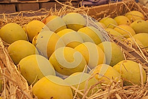 Indian alphonso mangoes