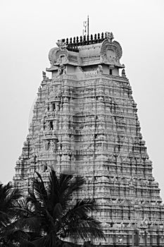 Beauty in Black Temple Tower on Srirangam Temple photo
