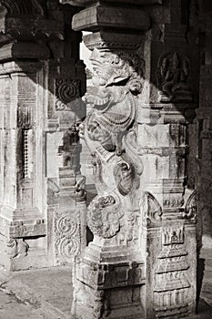 Rock Pillar Statue - Thanjavur Big Temple photo