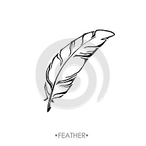 Indian Boho feather hand drawn