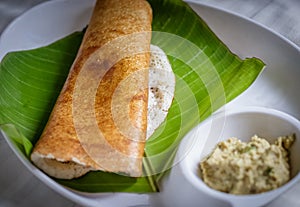 Indian breakfast - Masala Dosa photo