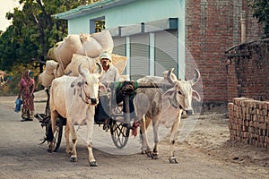 Indian bullock cart or ox cart