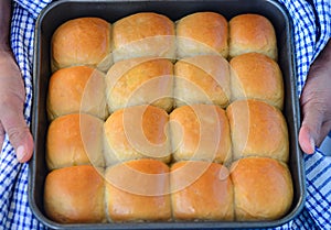 Indian buns