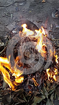 Indian Burning Wood photo