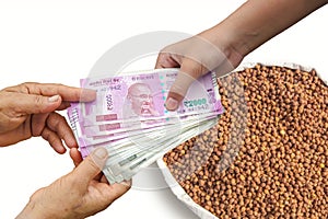 Indian cash money changing hands between a buyer and farmer