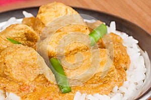 Indian Chicken Curry with Rice